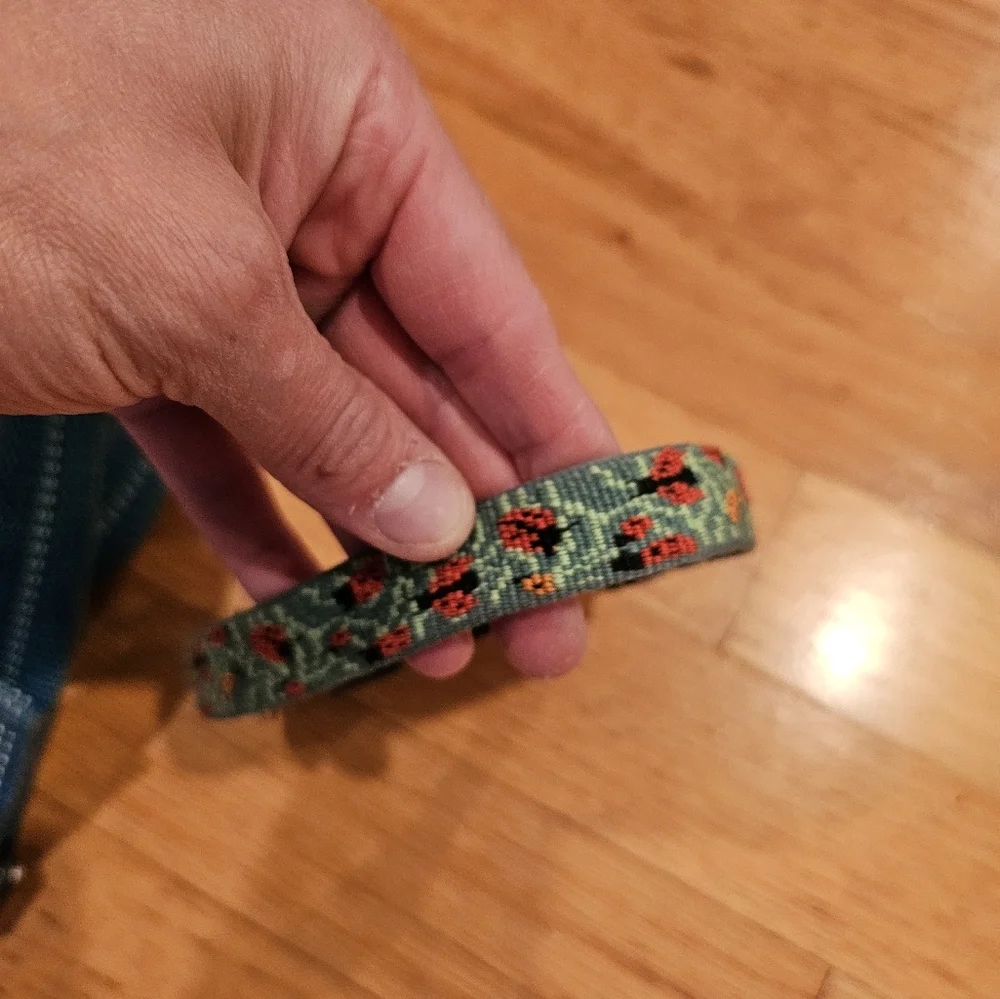Heavy duty dog leash and ladybug collar